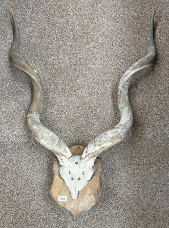 1420
