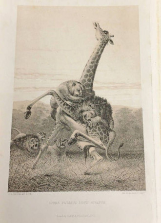 2195