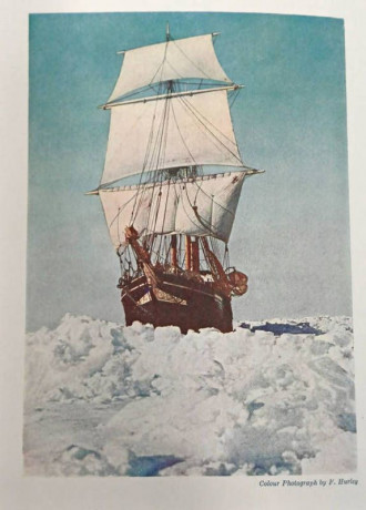 2459