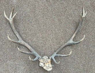 1510